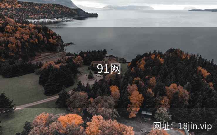 91网 第2张