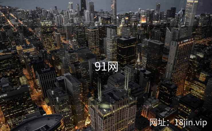 91网 第1张