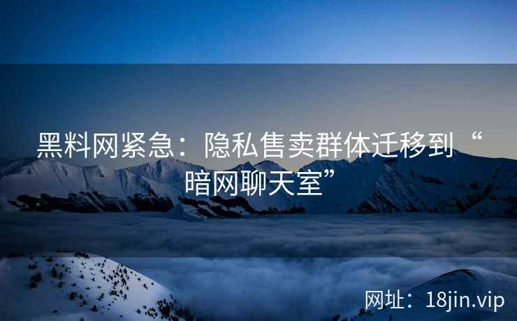 黑料网紧急：隐私售卖群体迁移到“暗网聊天室”  第2张