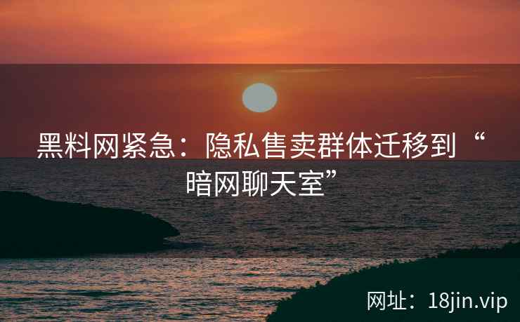黑料网紧急：隐私售卖群体迁移到“暗网聊天室”