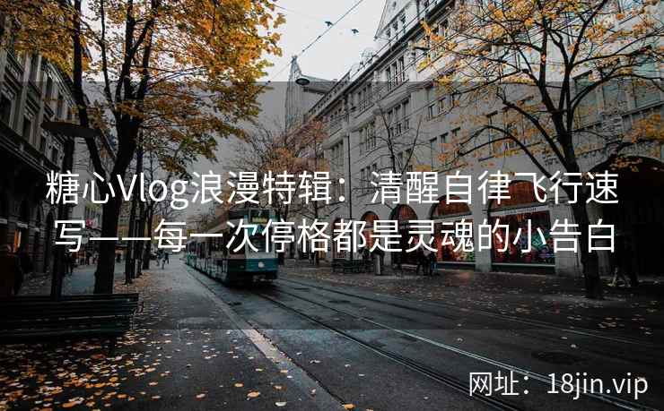 糖心Vlog浪漫特辑：清醒自律飞行速写——每一次停格都是灵魂的小告白